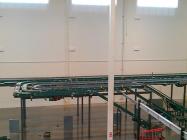 Case Conveyor