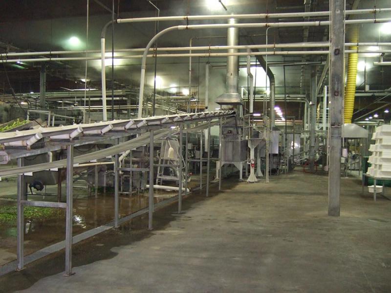 Conveyance and Pasteurizer Line